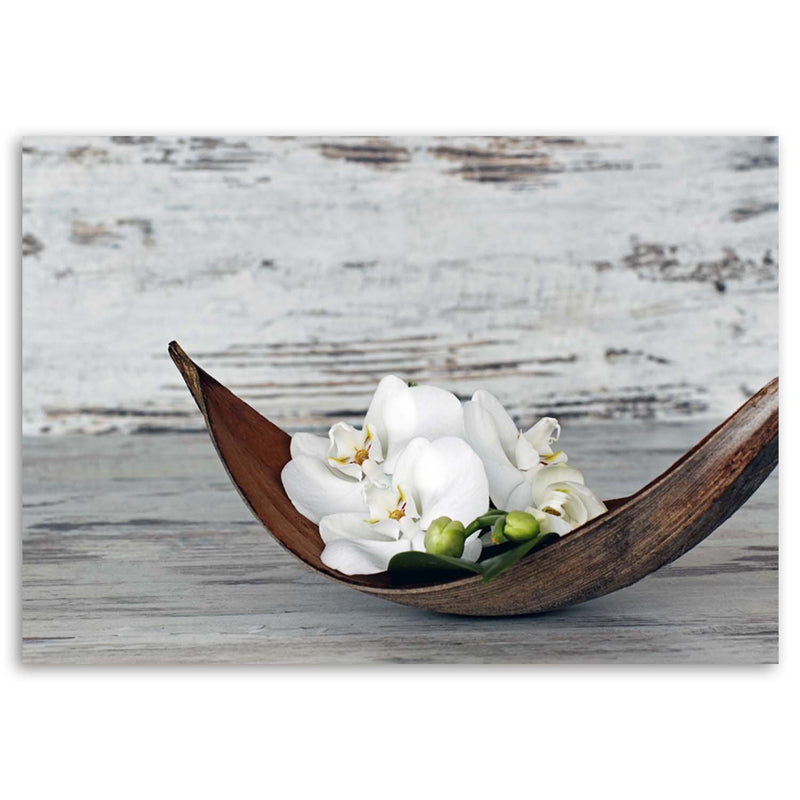 Canvas print, White orchid flowers