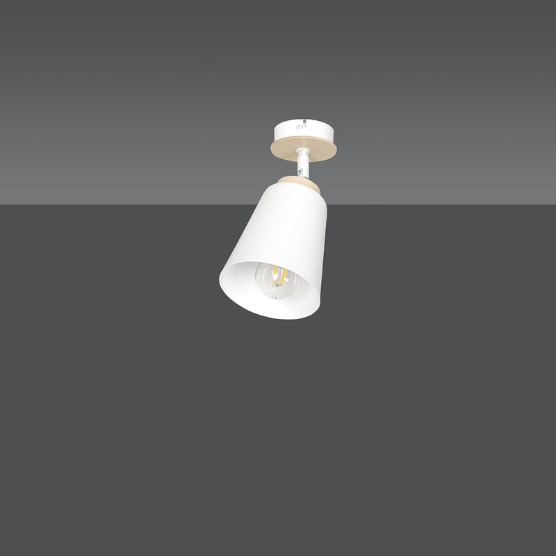 ATLAS ceiling lamp 1L, white, E27