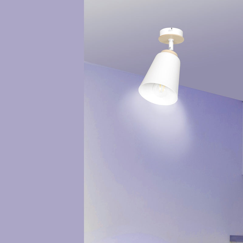 ATLAS ceiling lamp 1L, white, E27