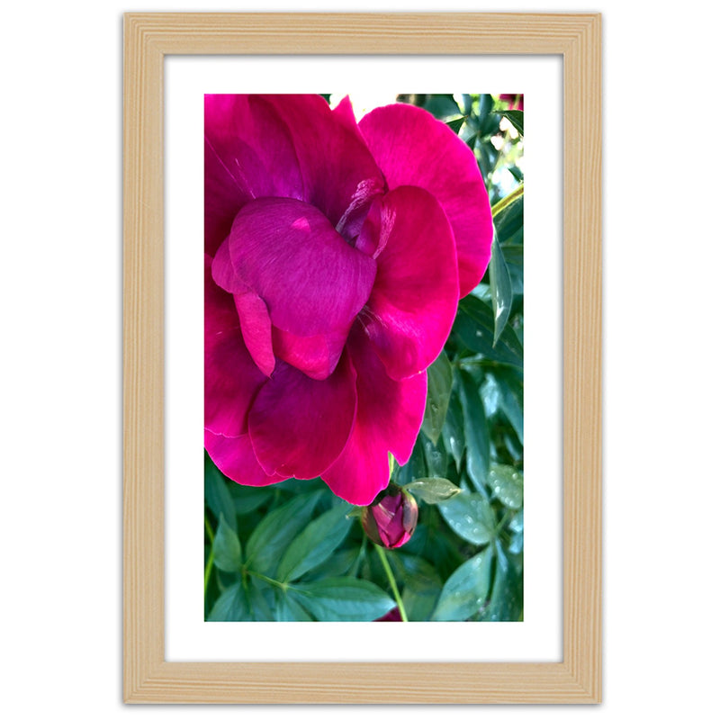 Picture in natural frame, Pink large flower