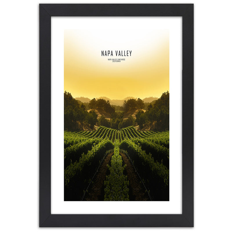 Picture in black frame, Vineyards in napa vallley