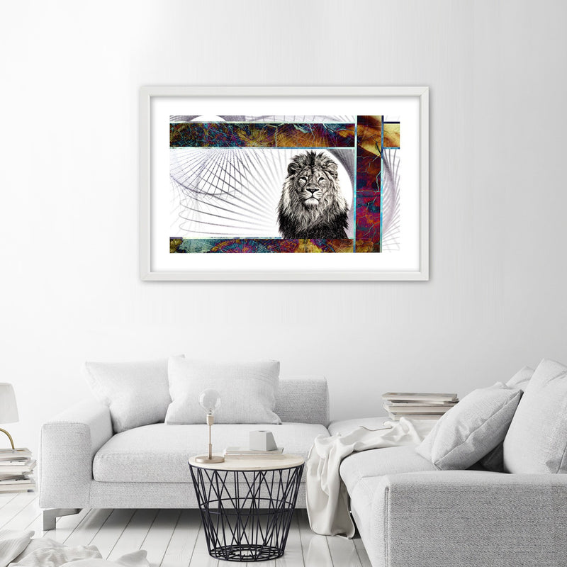 Picture in white frame, Majestic lion
