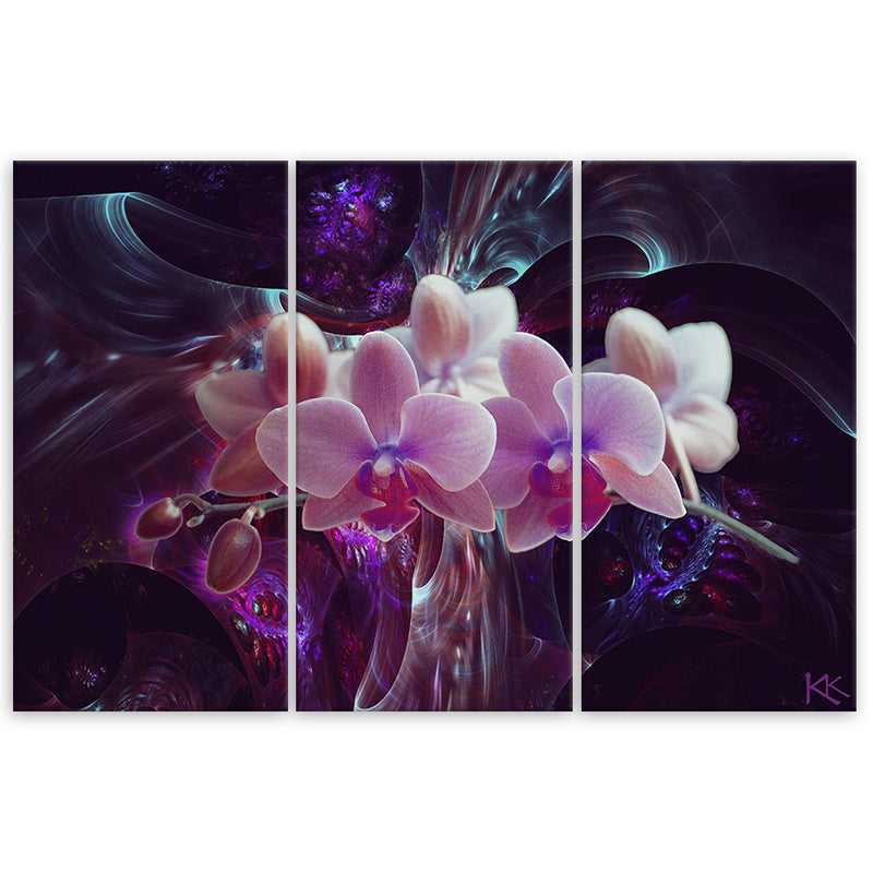Three piece picture canvas print, White orchid on dark background