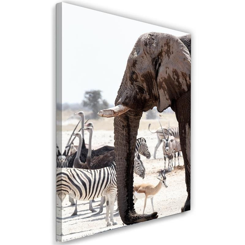 Canvas print, Animals on the savannah - elephant zebras ostriches antelopes