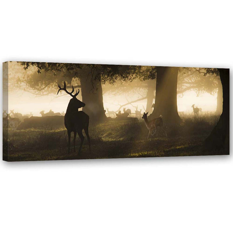 Canvas print, Deer in the mist