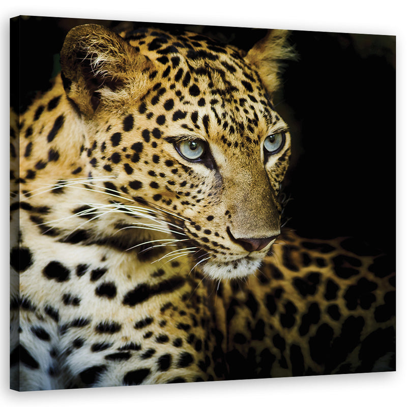 Canvas print, Majestic leopard