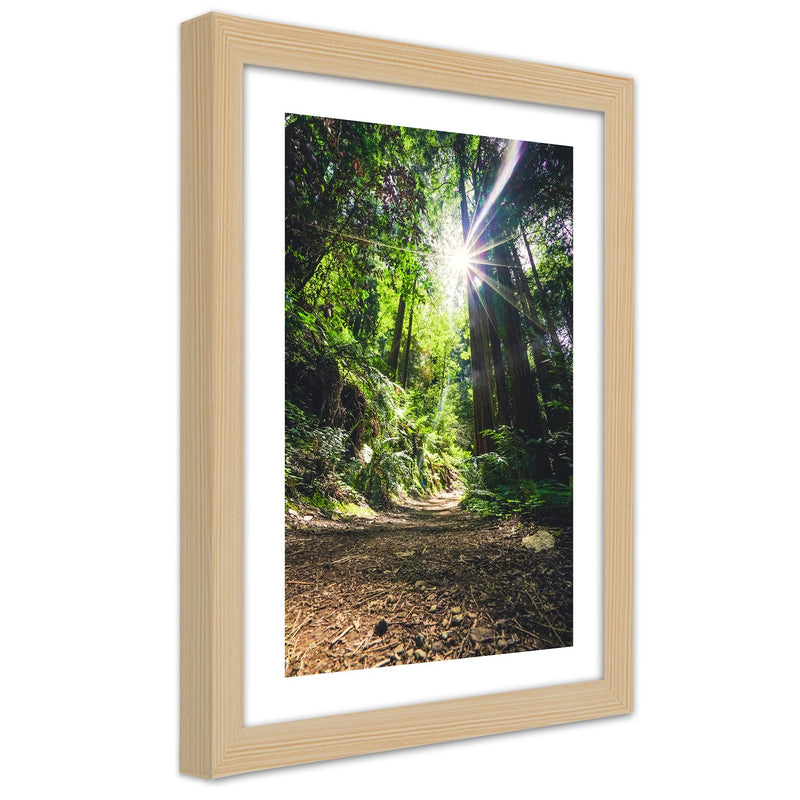 Picture in natural frame, Path in a dense forest