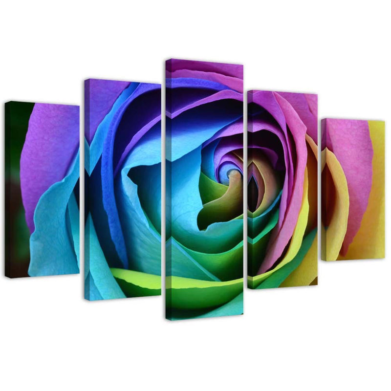 Cuadro en lienzo de cinco piezas, Rosa de colores