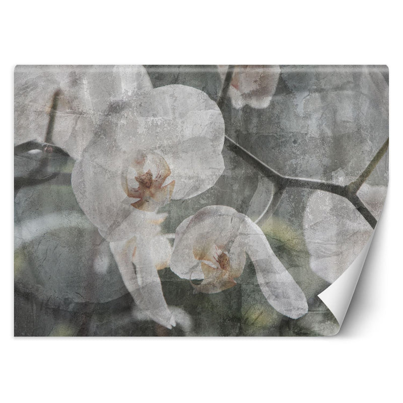 Wallpaper, Orchid Flowers Retro