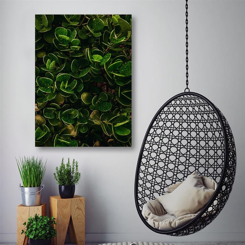Deco panel print, Green leaves of exotic plants