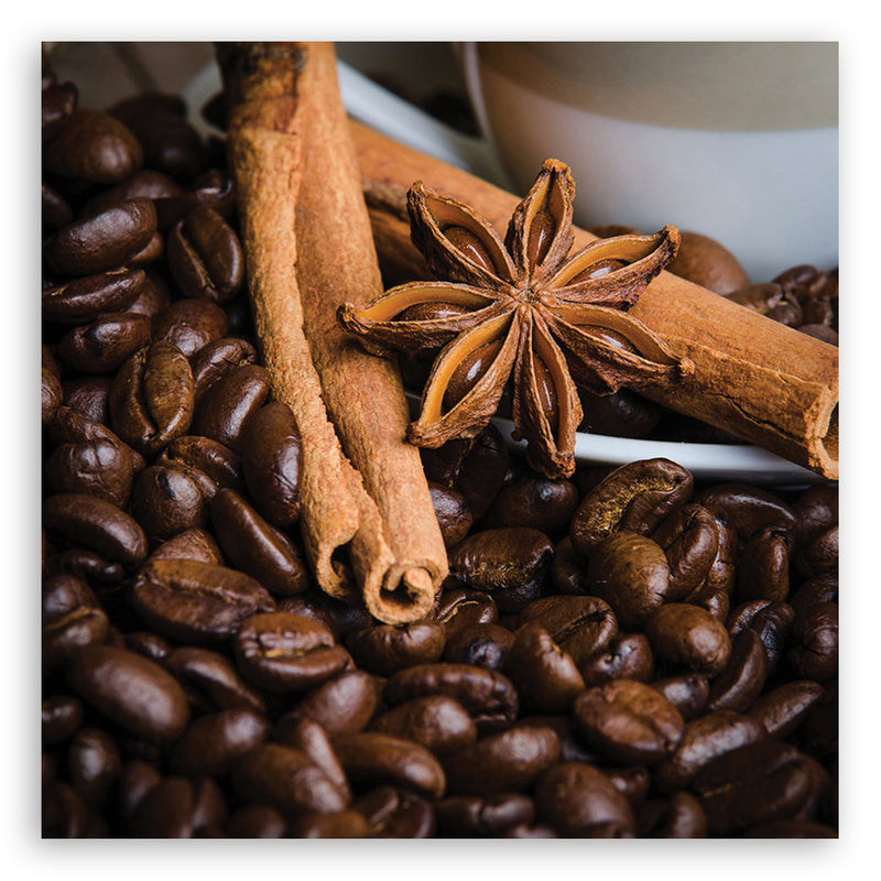 Canvas print, Anise star and coffee