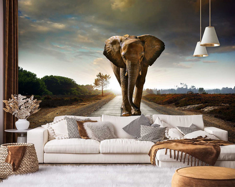 Wallpaper, Elephant in the way animal Africa