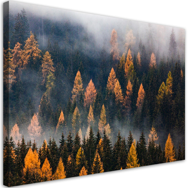 Canvas print, Autumn tree landscape
