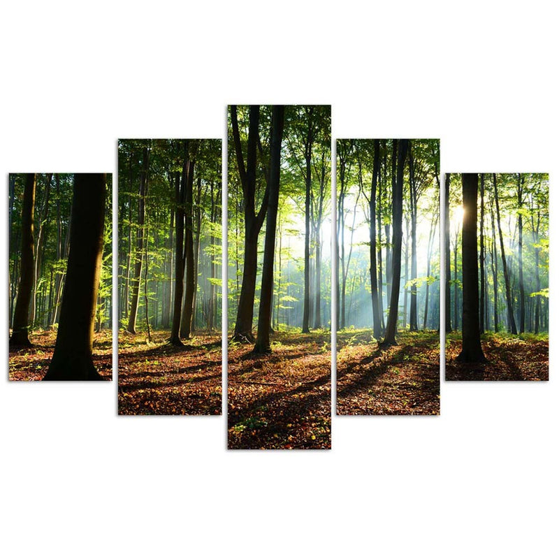 Five piece picture deco panel, Sunshine in the forest