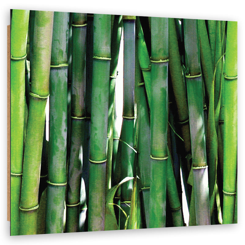 Deco panel print, Green bamboos