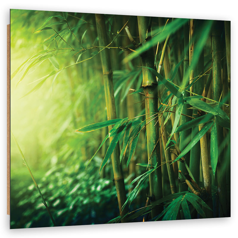 Deco panel print, Jungle bamboo