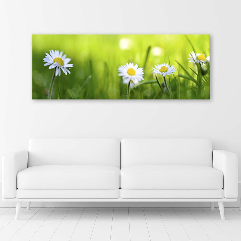 Deco panel print, Daisies in the grass
