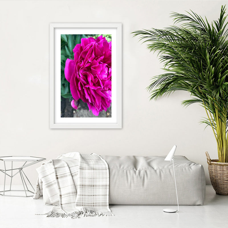 Picture in white frame, Pink large flower