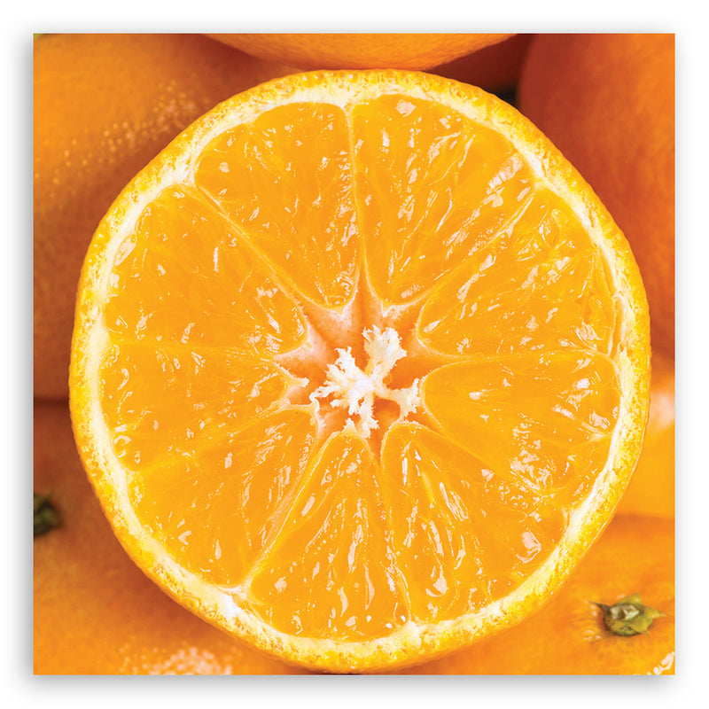 Deco panel print, Orange macro