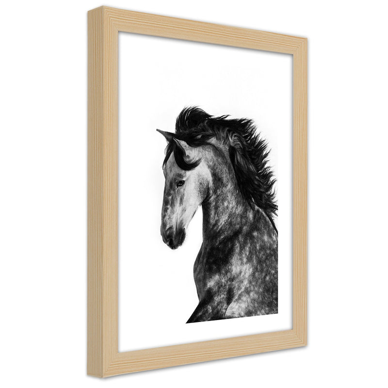 Picture in natural frame, Wild steed