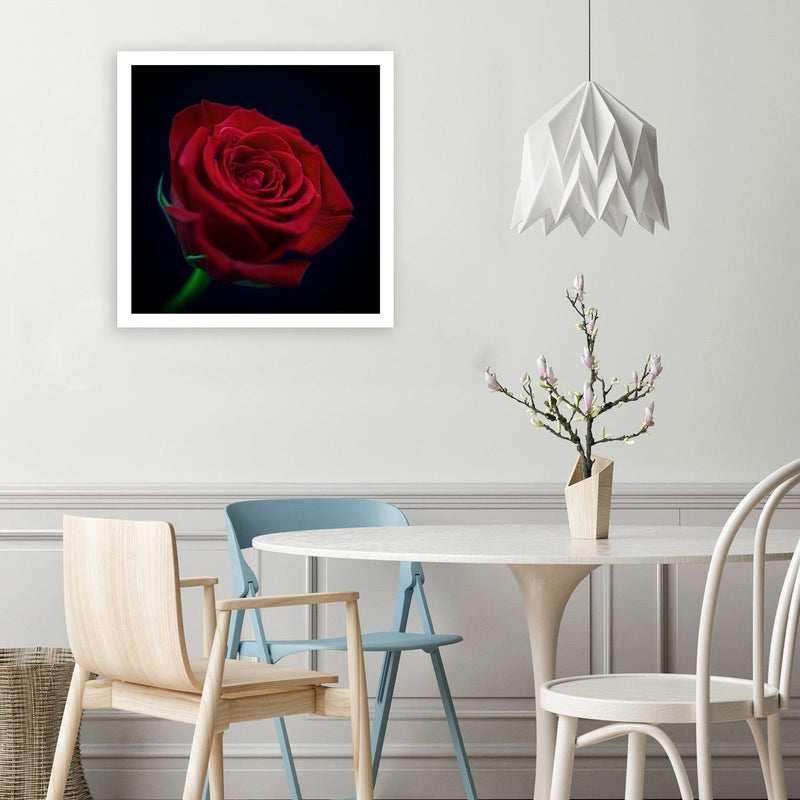 Deco panel print, Red rose in the dark