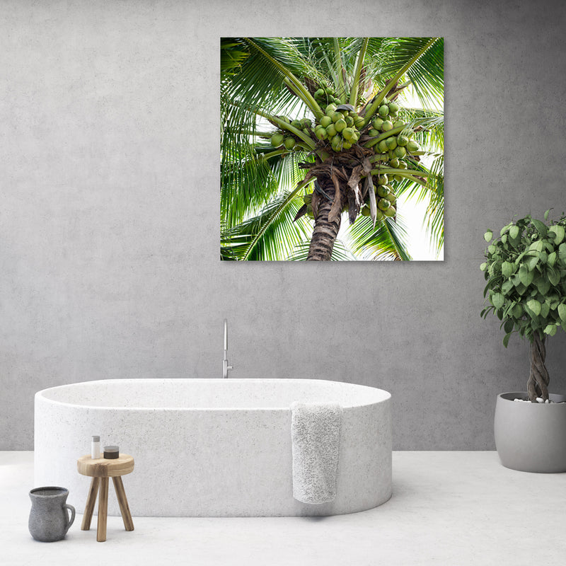 Canvas print, Coconut palm