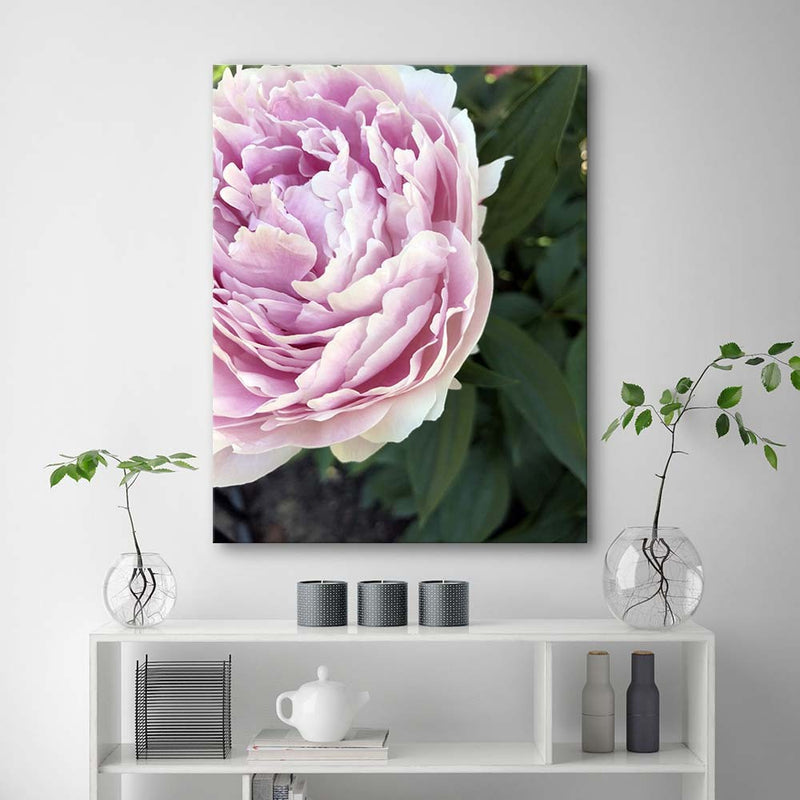 Deco panel print, Pink peony in close-up