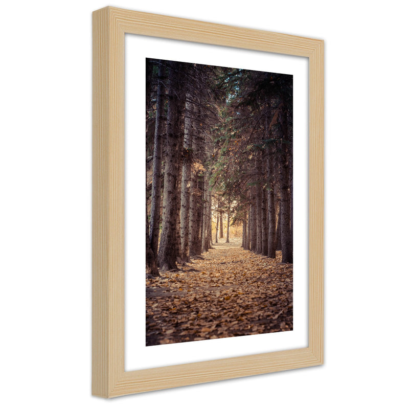 Picture in natural frame, Forest in autumn