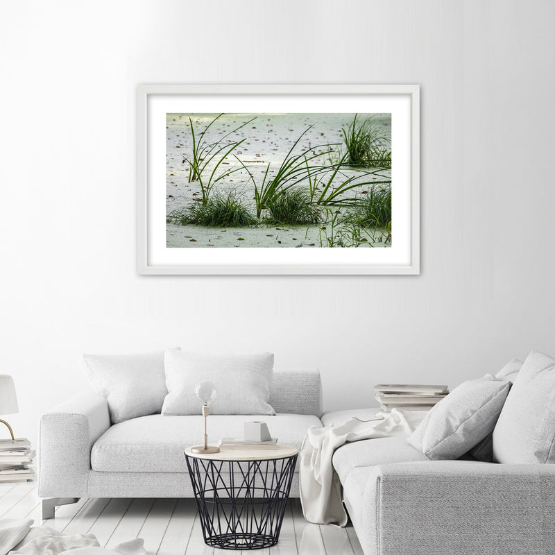 Picture in white frame, Grasses on the beach