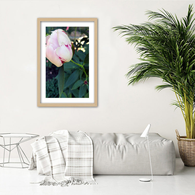 Picture in natural frame, White peony