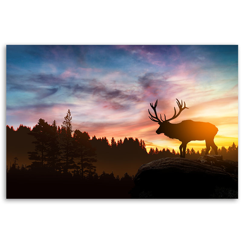Canvas print, Deer at sunset