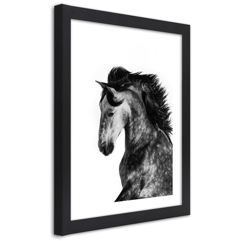 Picture in black frame, Wild steed