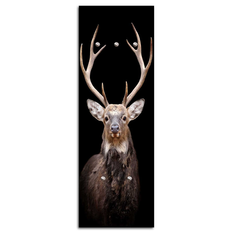Coat hanger, Deer