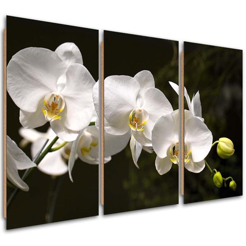 Panel decorativo con imagen de tres piezas, orquídea blanca sobre fondo negro