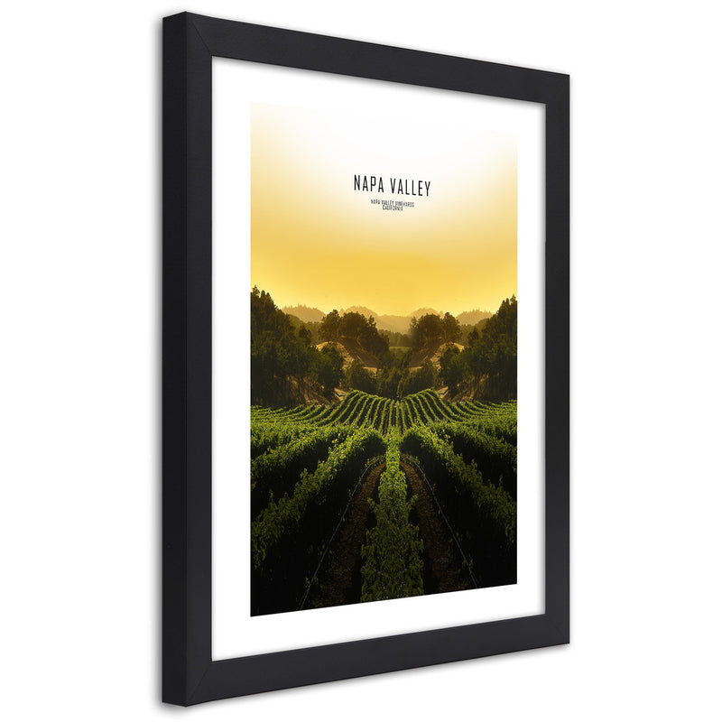 Picture in black frame, Vineyards in napa vallley