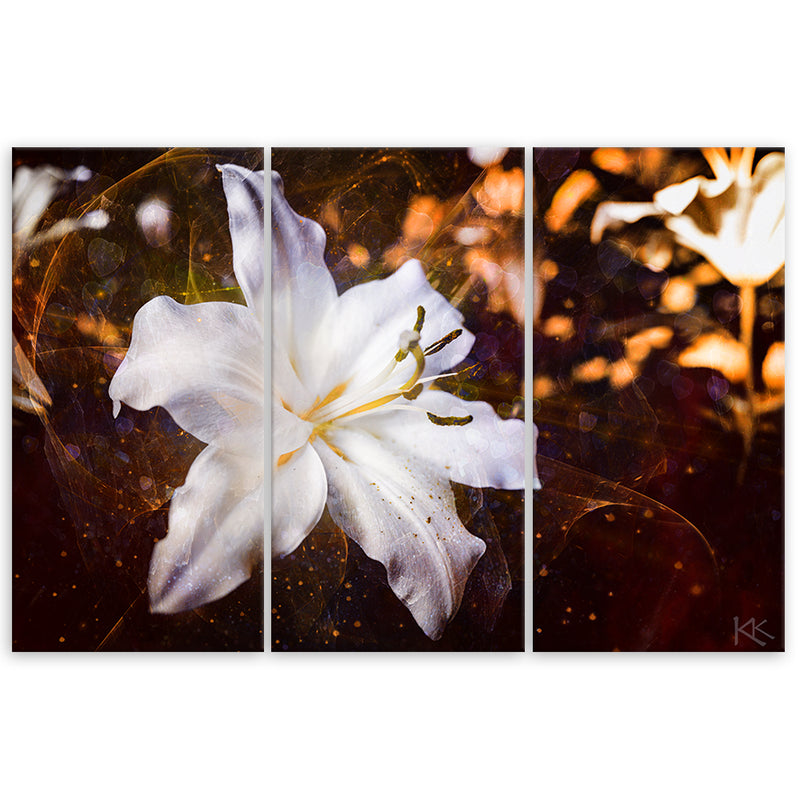 Three piece picture canvas print, White lily on brown background