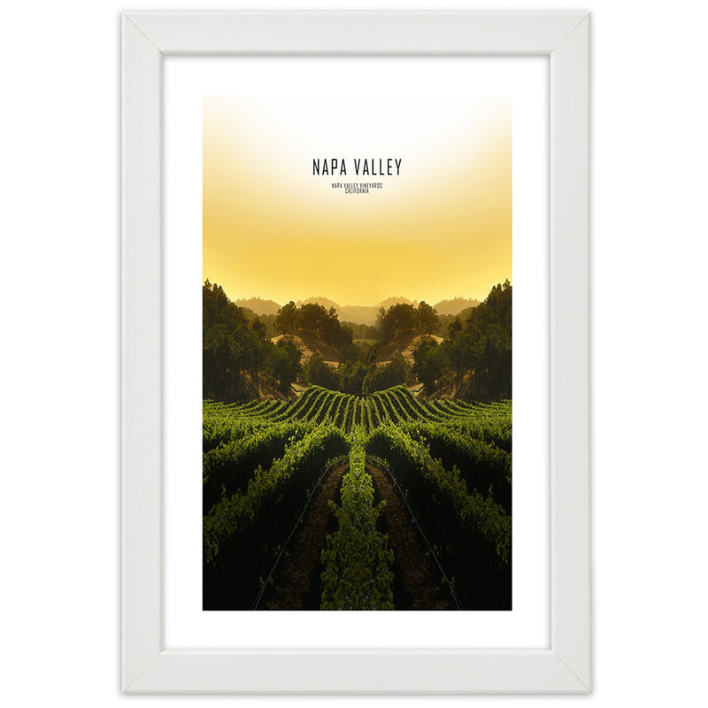 Picture in white frame, Vineyards in napa vallley