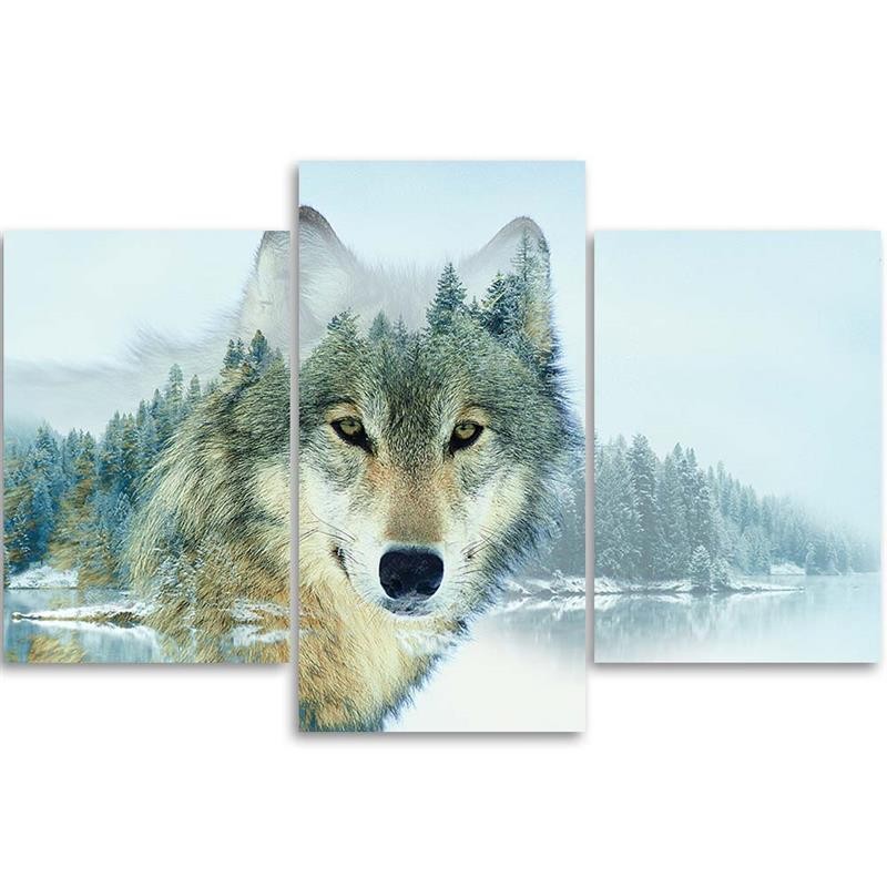 Three piece picture canvas print, Polar wolf