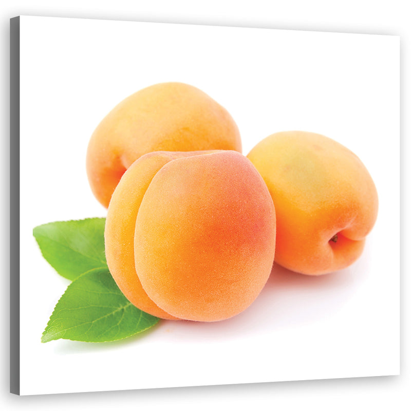 Canvas print, Fruits Apricot