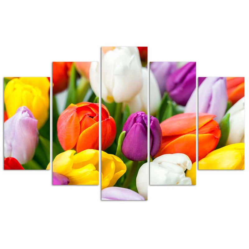 Cuadro en lienzo de cinco piezas, Tulipanes de colores