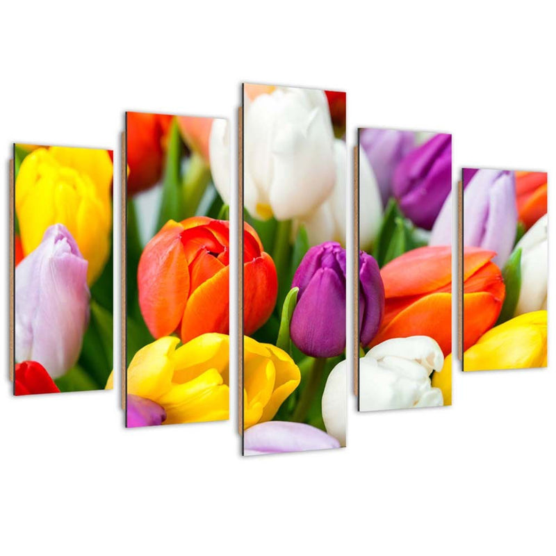 Panel decorativo con imagen de cinco piezas, Tulipanes de colores