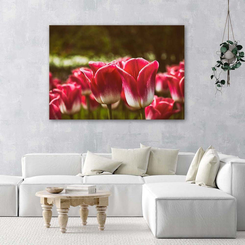 Deco panel print, Flowering tulips