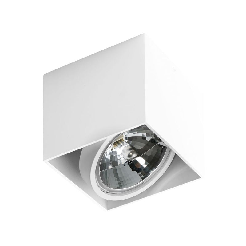 ALEX ceiling lamp 1L, white, QR111