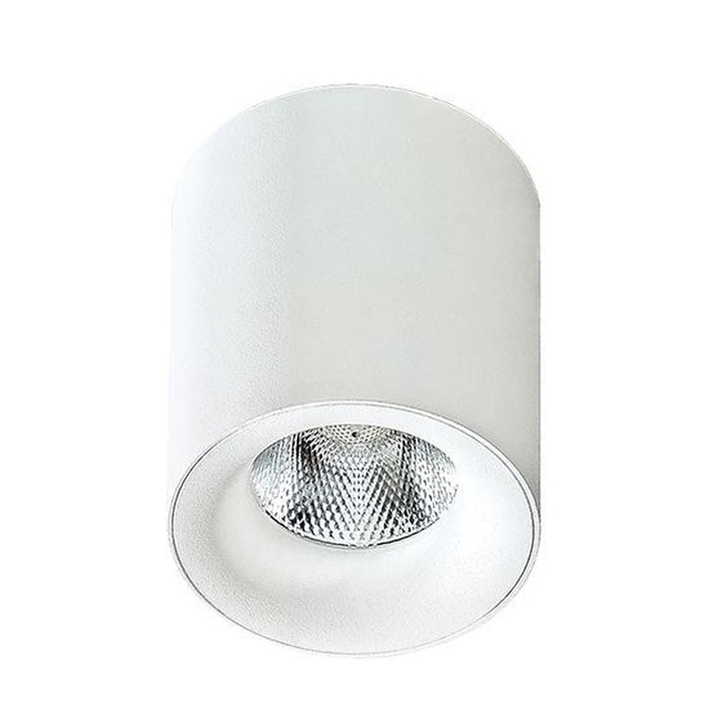 MANE ceiling lamp 1L, white, LED LED