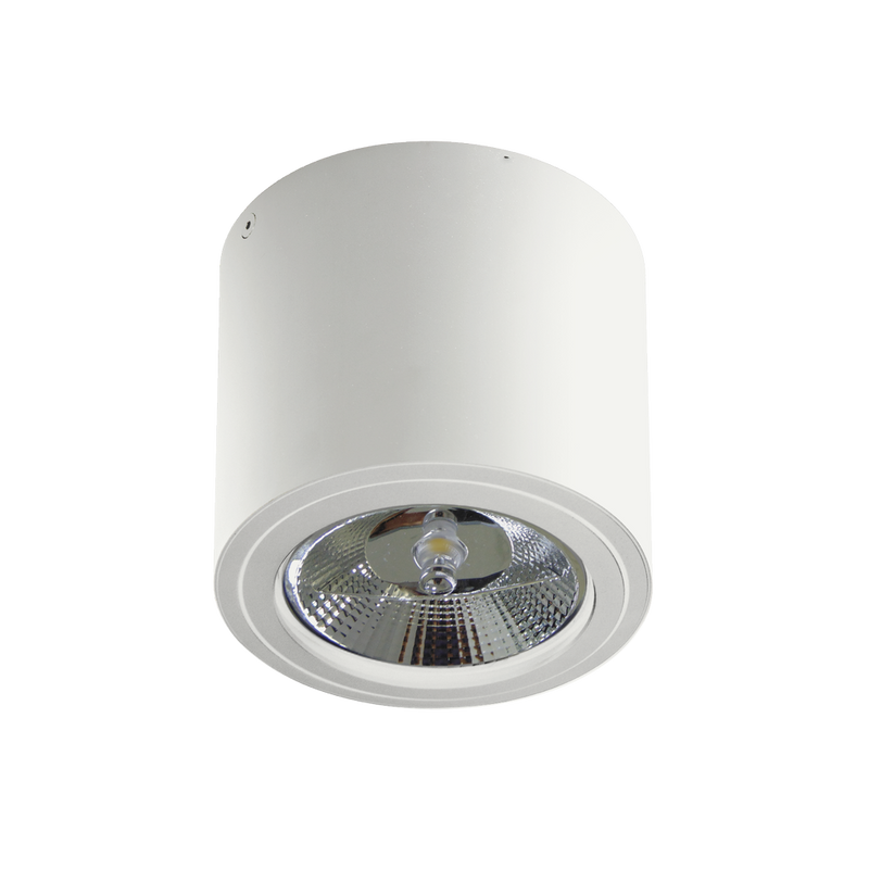 ALIX ceiling lamp 1L, white, ES111 / GU10