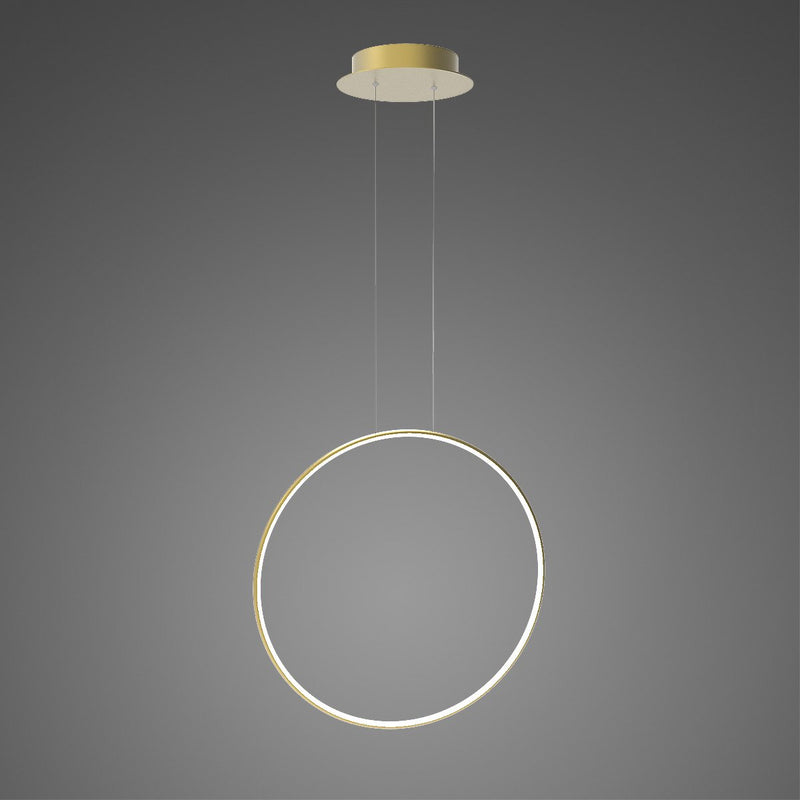 Hanging lamp Led Ring No. 1