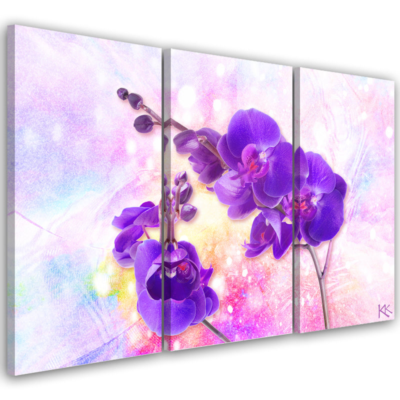 Three piece picture canvas print, Violet orchid flower