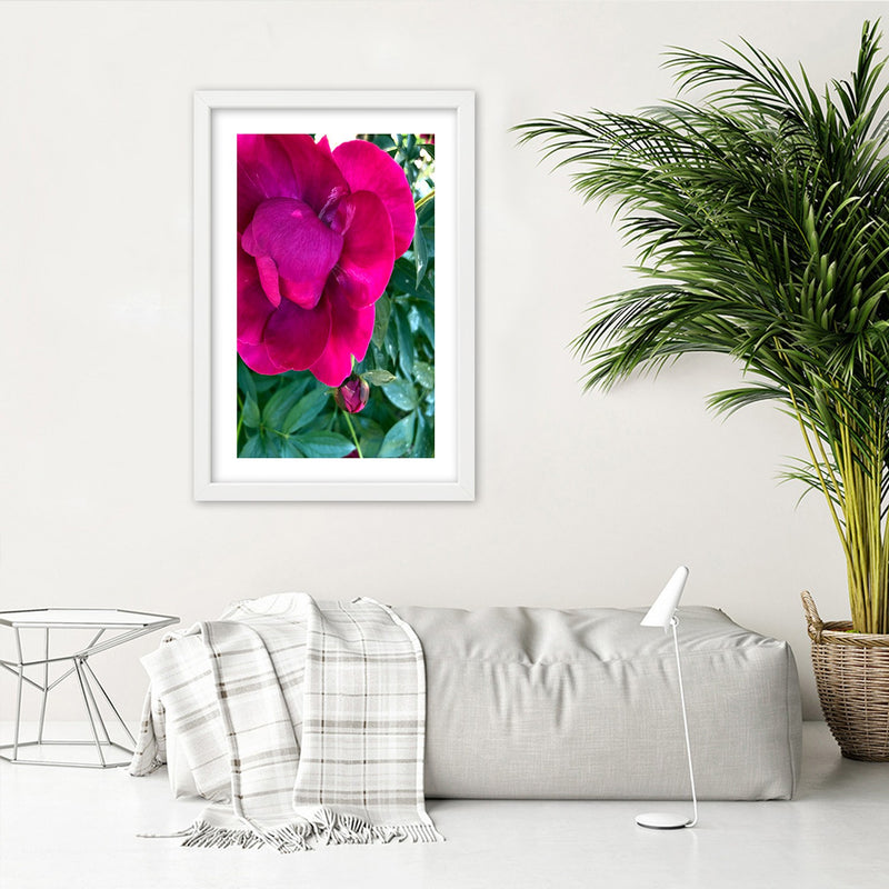 Picture in white frame, Pink peony