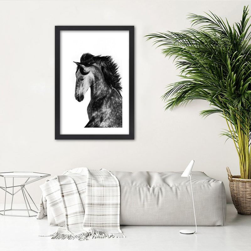 Picture in black frame, Wild steed