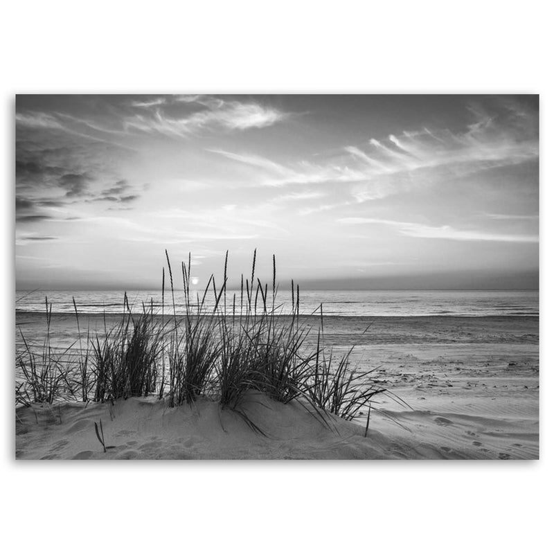 Canvas print, Grasses on the beach - black and white